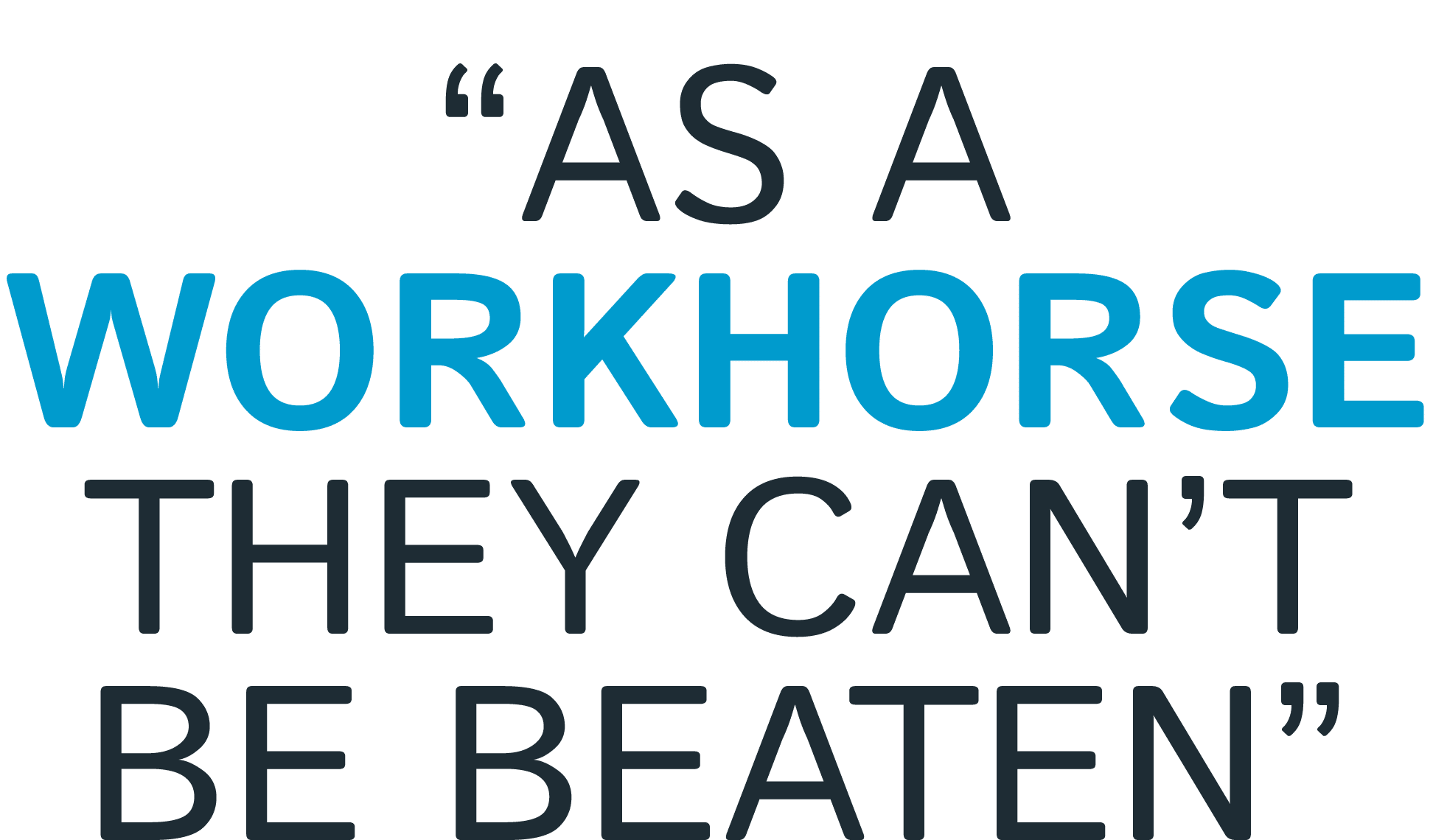 “As a workhorse they can’t be beaten”